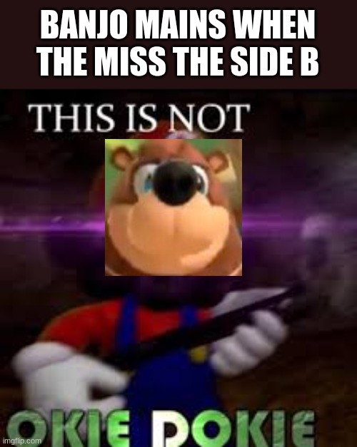 start spamming banjo memes | BANJO MAINS WHEN THE MISS THE SIDE B | image tagged in this is not okie dokie,banjo | made w/ Imgflip meme maker