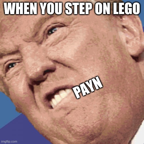 WHEN YOU STEP ON LEGO; PAYN | image tagged in donald trump | made w/ Imgflip meme maker