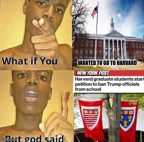 No matter how I look at it... It's still an unconstitutional disgrace! | WANTED TO GO TO HARVARD | image tagged in memes,new york post,harvard,trump 2020,stupid liberals,unconstitutional | made w/ Imgflip meme maker