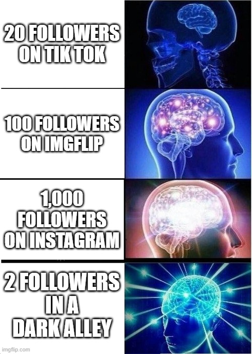 Expanding Brain Meme | 20 FOLLOWERS ON TIK TOK; 100 FOLLOWERS ON IMGFLIP; 1,000 FOLLOWERS ON INSTAGRAM; 2 FOLLOWERS IN A DARK ALLEY | image tagged in memes,expanding brain | made w/ Imgflip meme maker