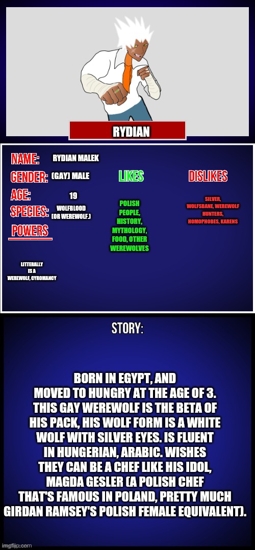 So this be this Gay werewolf bean of my oc. | RYDIAN; RYDIAN MALEK; (GAY) MALE; SILVER, WOLFSBANE, WEREWOLF HUNTERS, HOMOPHOBES, KARENS; POLISH PEOPLE, HISTORY, MYTHOLOGY, FOOD, OTHER WEREWOLVES; 19; WOLFBLOOD (OR WEREWOLF.); LITTERALLY IS A WEREWOLF, CYROMANCY; BORN IN EGYPT, AND MOVED TO HUNGRY AT THE AGE OF 3. THIS GAY WEREWOLF IS THE BETA OF HIS PACK, HIS WOLF FORM IS A WHITE WOLF WITH SILVER EYES. IS FLUENT IN HUNGERIAN, ARABIC. WISHES THEY CAN BE A CHEF LIKE HIS IDOL, MAGDA GESLER (A POLISH CHEF THAT'S FAMOUS IN POLAND, PRETTY MUCH GIRDAN RAMSEY'S POLISH FEMALE EQUIVALENT). | image tagged in oc full showcase | made w/ Imgflip meme maker