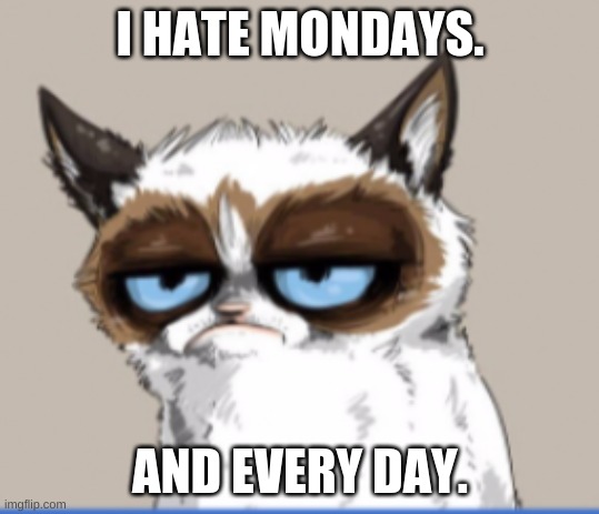 Grumpy Cat | I HATE MONDAYS. AND EVERY DAY. | image tagged in grumpy cat | made w/ Imgflip meme maker