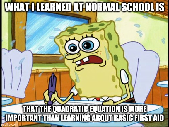 What I learned in boating school is |  WHAT I LEARNED AT NORMAL SCHOOL IS; THAT THE QUADRATIC EQUATION IS MORE IMPORTANT THAN LEARNING ABOUT BASIC FIRST AID | image tagged in what i learned in boating school is | made w/ Imgflip meme maker
