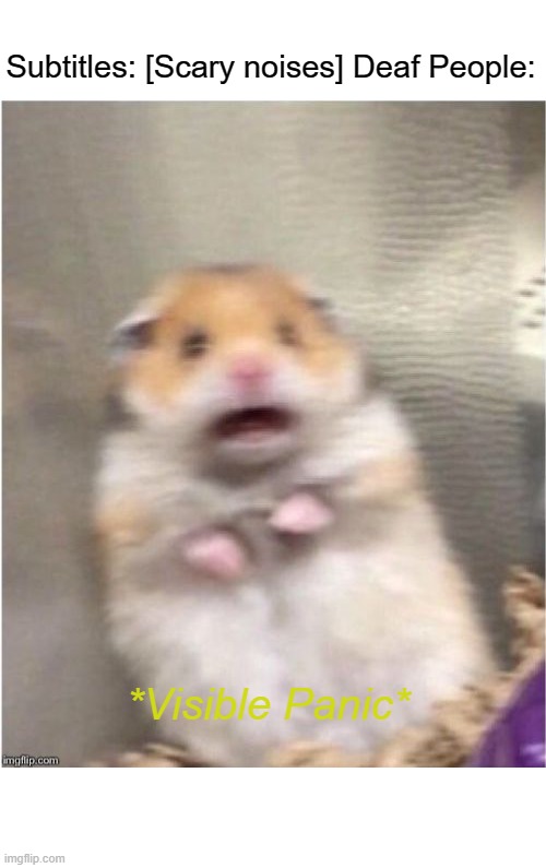 Scared Hamster | Subtitles: [Scary noises] Deaf People:; *Visible Panic* | image tagged in scared hamster | made w/ Imgflip meme maker