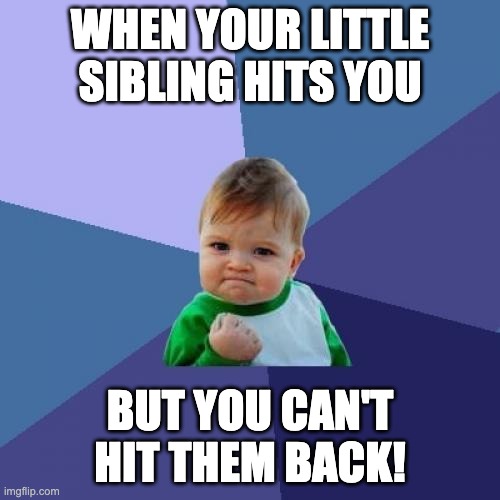 Success Kid Meme | WHEN YOUR LITTLE SIBLING HITS YOU; BUT YOU CAN'T HIT THEM BACK! | image tagged in memes,success kid | made w/ Imgflip meme maker