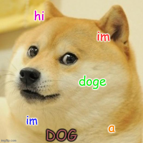 Doge | hi; im; doge; im; a; DOG | image tagged in memes,doge | made w/ Imgflip meme maker