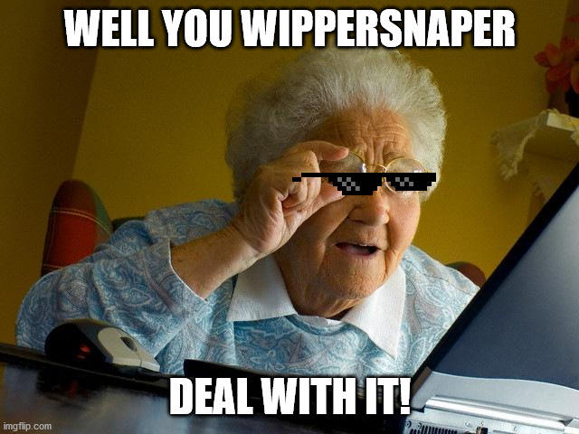 Grandma Finds The Internet Meme | WELL YOU WIPPERSNAPER; DEAL WITH IT! | image tagged in memes,grandma finds the internet | made w/ Imgflip meme maker