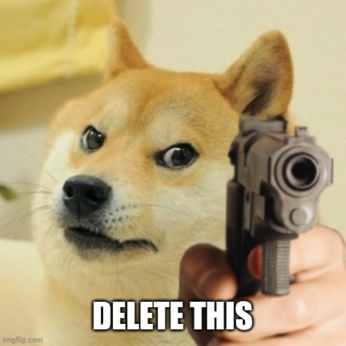 Doge holding a gun | DELETE THIS | image tagged in doge holding a gun | made w/ Imgflip meme maker