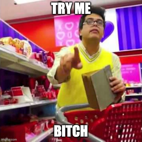 try me bitch | TRY ME BITCH | image tagged in try me bitch | made w/ Imgflip meme maker