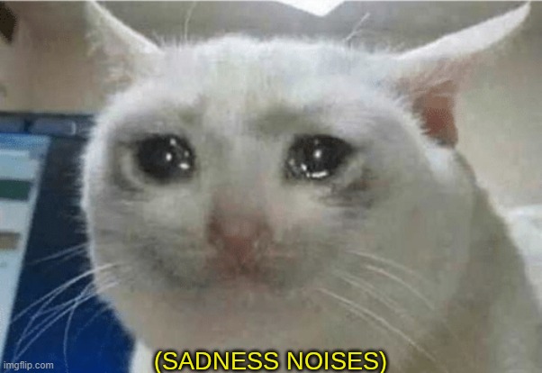 sadness noises | image tagged in sadness noises | made w/ Imgflip meme maker