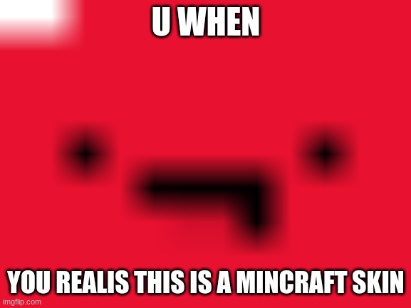 mInCraFt | U WHEN; YOU REALIS THIS IS A MINCRAFT SKIN | image tagged in lol | made w/ Imgflip meme maker