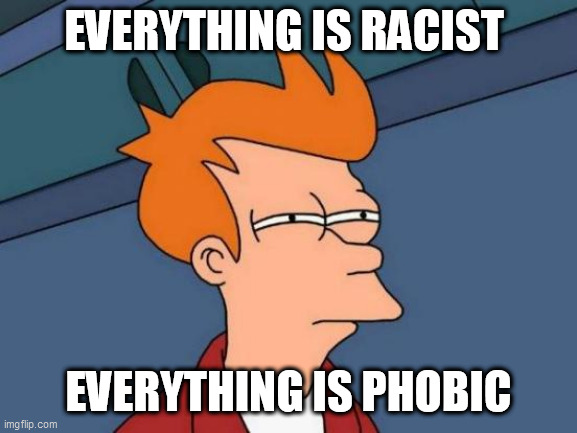 Futurama Fry | EVERYTHING IS RACIST; EVERYTHING IS PHOBIC | image tagged in memes,futurama fry | made w/ Imgflip meme maker