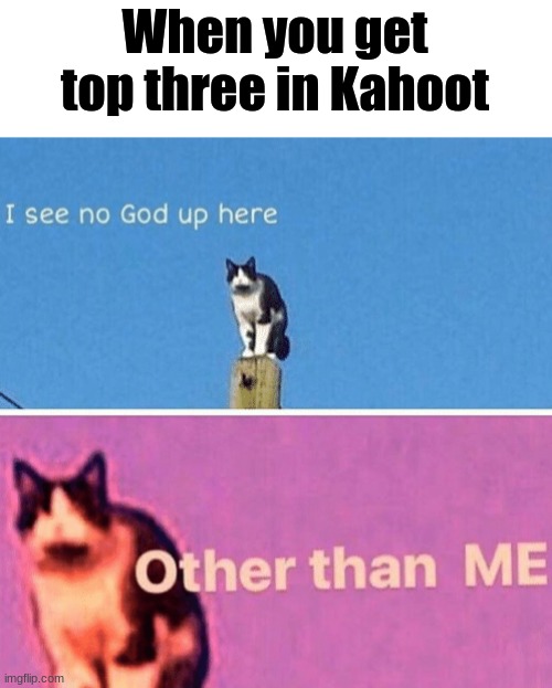 All hail, Kahoot Master! | When you get top three in Kahoot | image tagged in hail pole cat | made w/ Imgflip meme maker