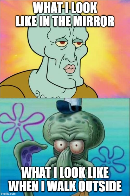 Squidward Meme | WHAT I LOOK LIKE IN THE MIRROR; WHAT I LOOK LIKE WHEN I WALK OUTSIDE | image tagged in memes,squidward | made w/ Imgflip meme maker