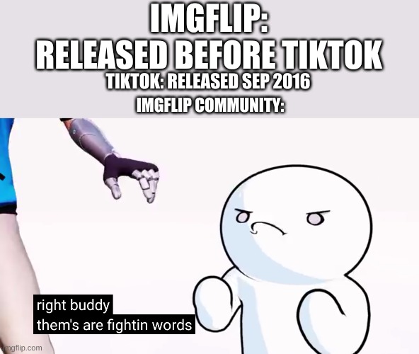 Thems are fightin words | IMGFLIP: RELEASED BEFORE TIKTOK; TIKTOK: RELEASED SEP 2016; IMGFLIP COMMUNITY: | image tagged in thems are fightin words | made w/ Imgflip meme maker