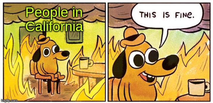 This Is Fine | People in
California | image tagged in memes,this is fine | made w/ Imgflip meme maker
