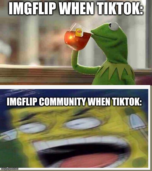 Kermit sipping tea | IMGFLIP WHEN TIKTOK:; IMGFLIP COMMUNITY WHEN TIKTOK: | image tagged in kermit sipping tea | made w/ Imgflip meme maker