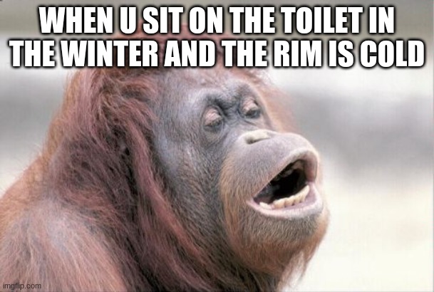when u sit on a cold toilet | WHEN U SIT ON THE TOILET IN THE WINTER AND THE RIM IS COLD | image tagged in memes,monkey ooh | made w/ Imgflip meme maker