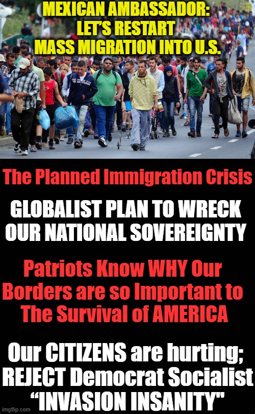The Planned Annihilation of America | MEXICAN AMBASSADOR: 
LET’S RESTART 
MASS MIGRATION INTO U.S. The Planned Immigration Crisis; GLOBALIST PLAN TO WRECK 
OUR NATIONAL SOVEREIGNTY; Patriots Know WHY Our 
Borders are so Important to 
The Survival of AMERICA; Our CITIZENS are hurting; 
REJECT Democrat Socialist
“INVASION INSANITY" | image tagged in politics,political meme,illegals,open borders,globalism,democratic socialism | made w/ Imgflip meme maker