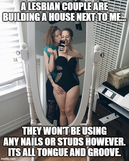 Dyke House | A LESBIAN COUPLE ARE BUILDING A HOUSE NEXT TO ME... THEY WON'T BE USING ANY NAILS OR STUDS HOWEVER. ITS ALL TONGUE AND GROOVE. | image tagged in lesbian love | made w/ Imgflip meme maker