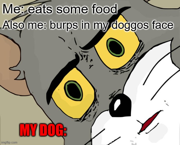 Unsettled Tom | Me: eats some food; Also me: burps in my doggos face; MY DOG: | image tagged in memes,unsettled tom,doggos | made w/ Imgflip meme maker