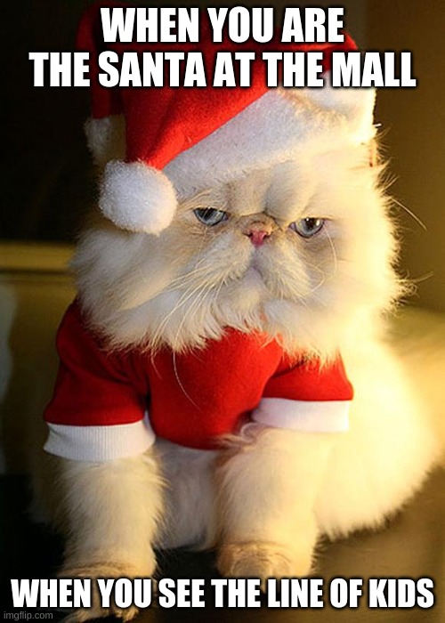 Santa Grumpy Cat | WHEN YOU ARE THE SANTA AT THE MALL; WHEN YOU SEE THE LINE OF KIDS | image tagged in santa grumpy cat | made w/ Imgflip meme maker