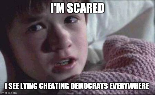 I See Dead People | I'M SCARED; I SEE LYING CHEATING DEMOCRATS EVERYWHERE | image tagged in memes,i see dead people | made w/ Imgflip meme maker