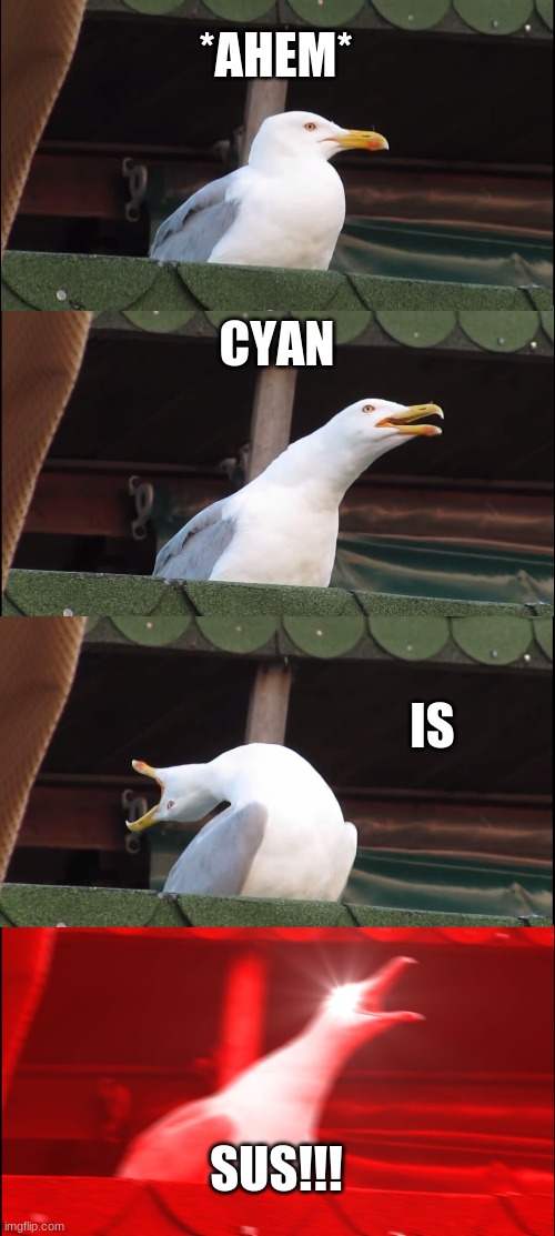 hello | *AHEM*; CYAN; IS; SUS!!! | image tagged in memes,inhaling seagull | made w/ Imgflip meme maker