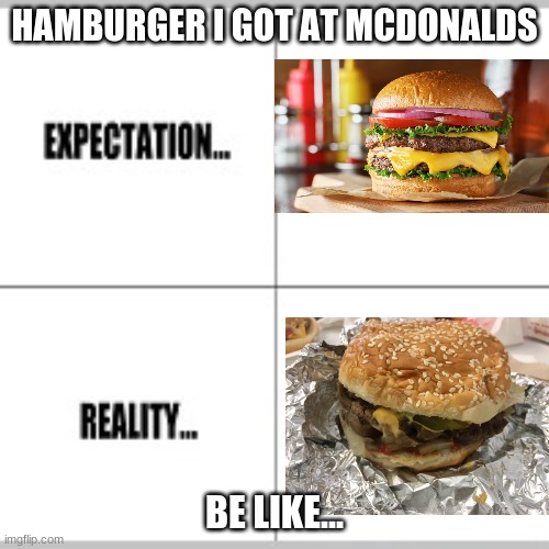 too many expactations | HAMBURGER I GOT AT MCDONALDS; BE LIKE... | image tagged in expectation vs reality | made w/ Imgflip meme maker