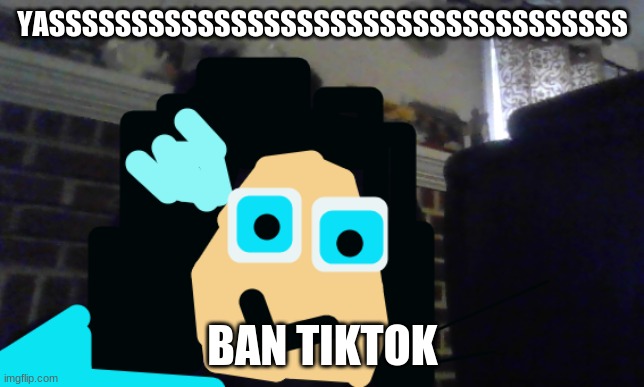 So I got that goin for me which is nice | YASSSSSSSSSSSSSSSSSSSSSSSSSSSSSSSSSSS BAN TIKTOK | image tagged in so i got that goin for me which is nice | made w/ Imgflip meme maker