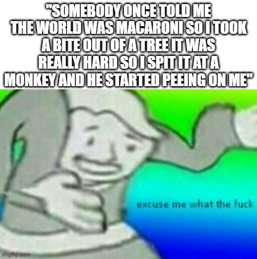 Excuse me? | "SOMEBODY ONCE TOLD ME THE WORLD WAS MACARONI SO I TOOK A BITE OUT OF A TREE IT WAS REALLY HARD SO I SPIT IT AT A MONKEY AND HE STARTED PEEING ON ME" | image tagged in excuse me | made w/ Imgflip meme maker