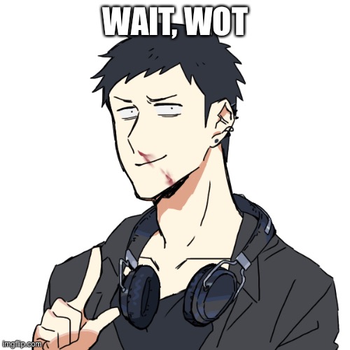 Emo: hold up | WAIT, WOT | image tagged in emo hold up | made w/ Imgflip meme maker