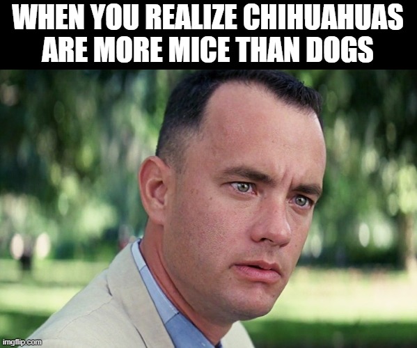 hidden truths | WHEN YOU REALIZE CHIHUAHUAS ARE MORE MICE THAN DOGS | image tagged in memes,and just like that | made w/ Imgflip meme maker