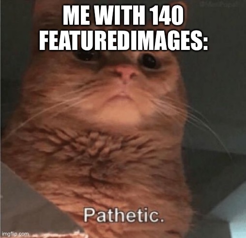 Pathetic Cat | ME WITH 140 FEATUREDIMAGES: | image tagged in pathetic cat | made w/ Imgflip meme maker