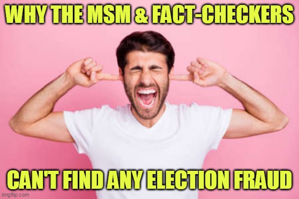 Election Fraud | WHY THE MSM & FACT-CHECKERS; CAN'T FIND ANY ELECTION FRAUD | image tagged in fact-checkers,msm,democrats,deaf,dumb,blind | made w/ Imgflip meme maker