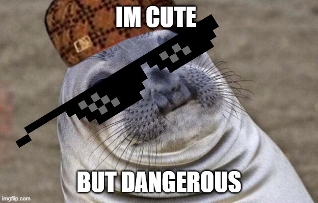 The dangerous seal | IM CUTE; BUT DANGEROUS | image tagged in cool | made w/ Imgflip meme maker