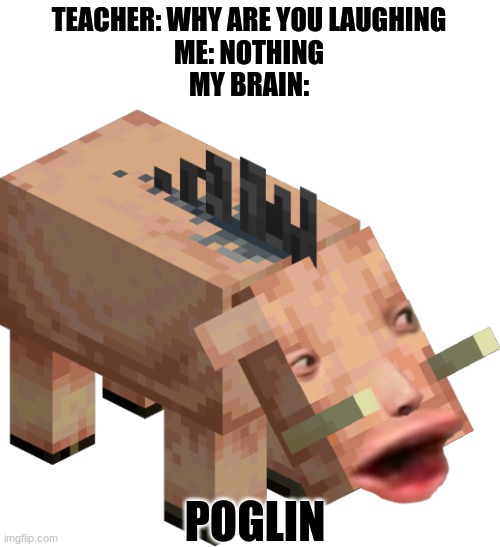 Poglin | TEACHER: WHY ARE YOU LAUGHING
ME: NOTHING
MY BRAIN:; POGLIN | image tagged in minecraft,teacher what are you laughing at | made w/ Imgflip meme maker