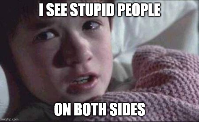 I See Dead People Meme | I SEE STUPID PEOPLE; ON BOTH SIDES | image tagged in memes,i see dead people | made w/ Imgflip meme maker