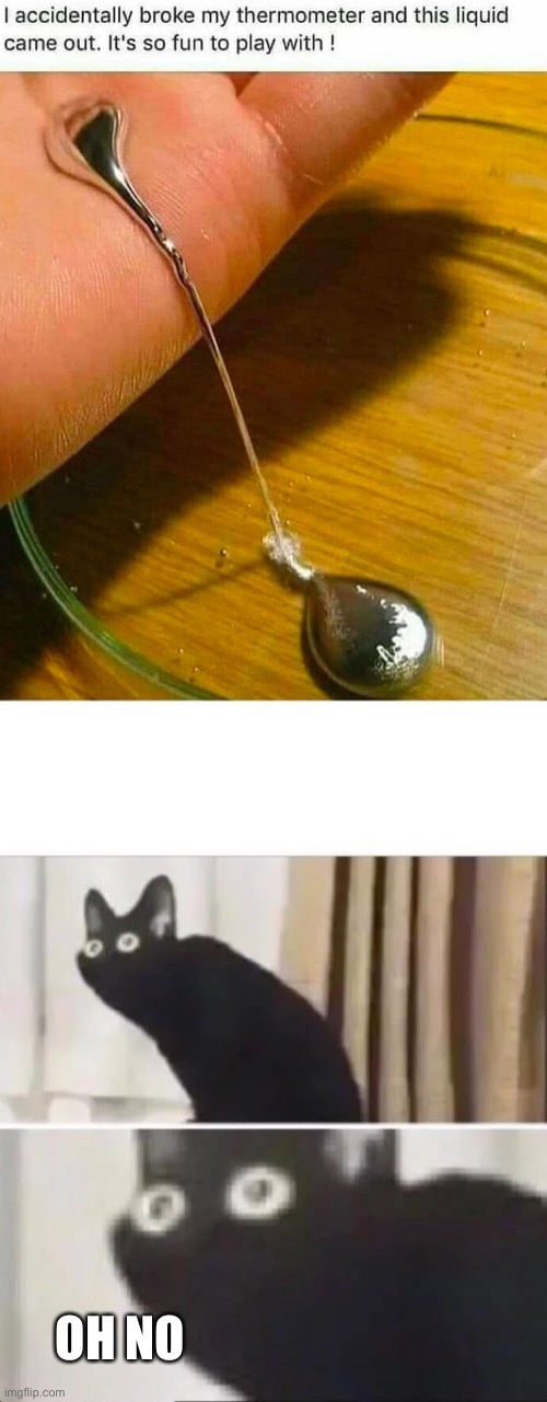 Dead in 3,2,1 | OH NO | image tagged in oh no black cat | made w/ Imgflip meme maker