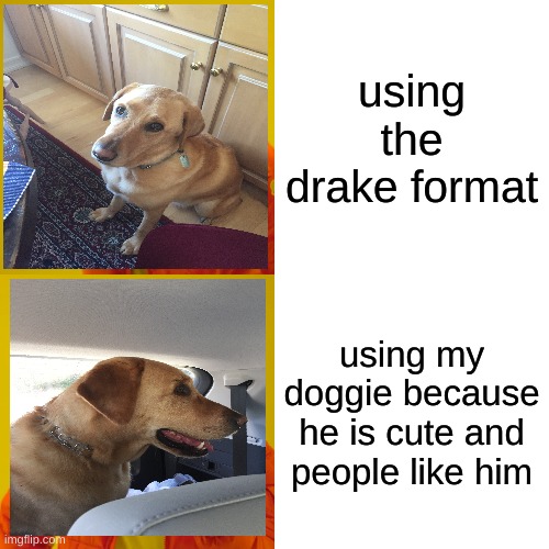 the king is back | using the drake format; using my doggie because he is cute and people like him | image tagged in memes,drake hotline bling,teenagers | made w/ Imgflip meme maker