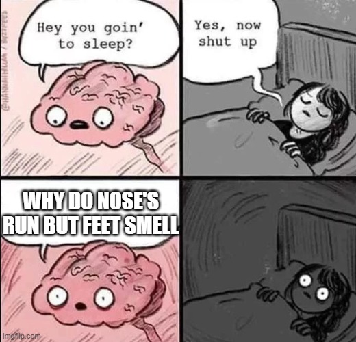 waking up brain | WHY DO NOSE'S RUN BUT FEET SMELL | image tagged in waking up brain | made w/ Imgflip meme maker