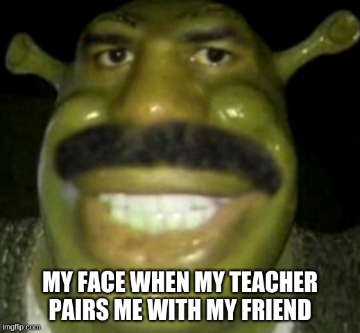 Me | MY FACE WHEN MY TEACHER PAIRS ME WITH MY FRIEND | image tagged in shrek harvey | made w/ Imgflip meme maker