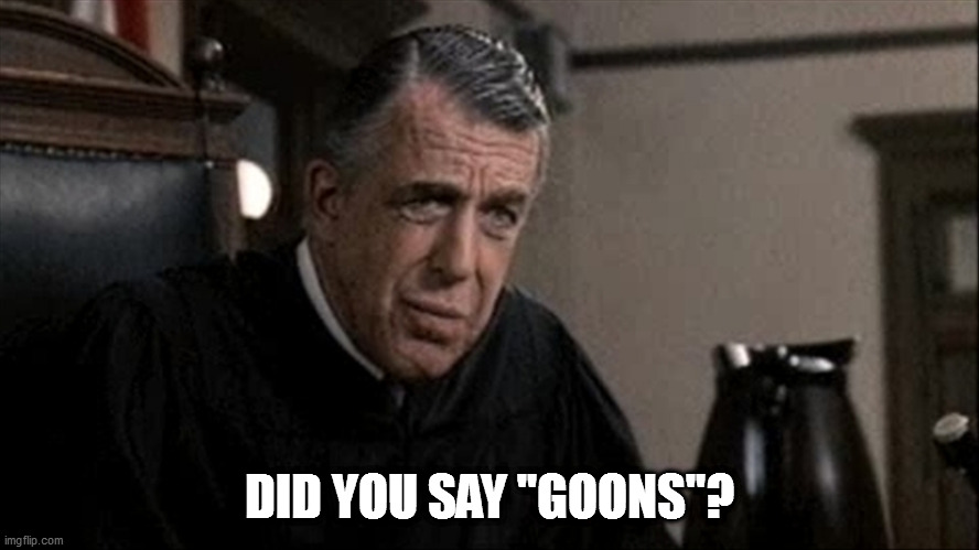 My cousin vinny judge | DID YOU SAY "GOONS"? | image tagged in my cousin vinny judge | made w/ Imgflip meme maker
