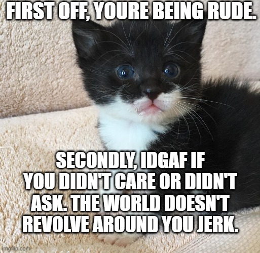 idc if you "didn't care" or "didn't ask". | FIRST OFF, YOURE BEING RUDE. SECONDLY, IDGAF IF YOU DIDN'T CARE OR DIDN'T ASK. THE WORLD DOESN'T REVOLVE AROUND YOU JERK. | image tagged in reactions,kitten | made w/ Imgflip meme maker