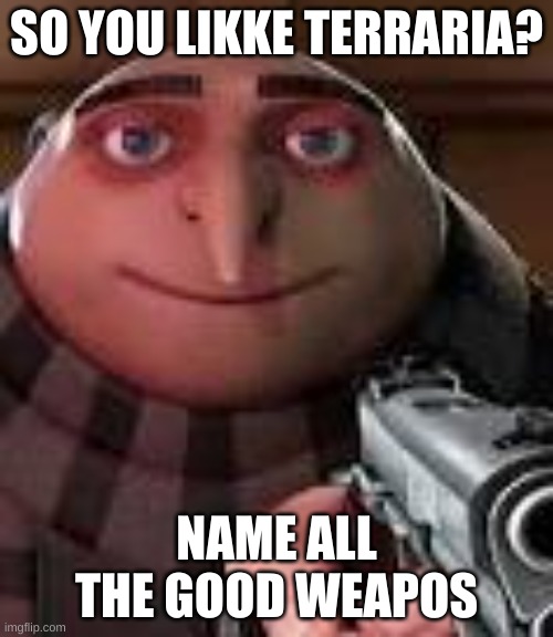 So you like terraria? | SO YOU LIKKE TERRARIA? NAME ALL THE GOOD WEAPOS | image tagged in gru with gun | made w/ Imgflip meme maker