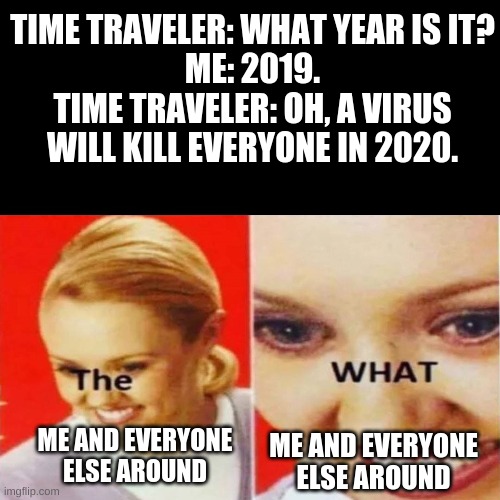 The What | TIME TRAVELER: WHAT YEAR IS IT?
ME: 2019.
TIME TRAVELER: OH, A VIRUS WILL KILL EVERYONE IN 2020. ME AND EVERYONE ELSE AROUND; ME AND EVERYONE ELSE AROUND | image tagged in the what | made w/ Imgflip meme maker