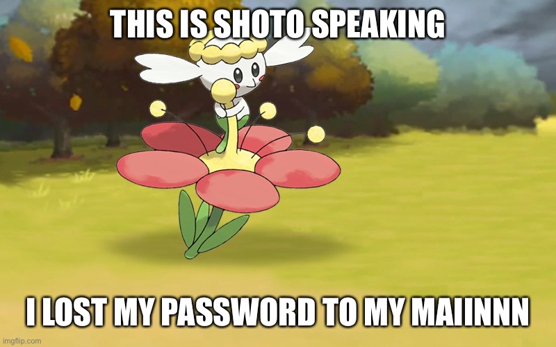 Poke | THIS IS SHOTO SPEAKING; I LOST MY PASSWORD TO MY MAIINNN | image tagged in poke | made w/ Imgflip meme maker