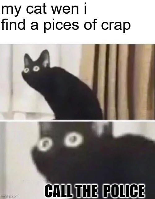 Oh No Black Cat | my cat wen i find a pices of crap; CALL THE  POLICE | image tagged in oh no black cat | made w/ Imgflip meme maker