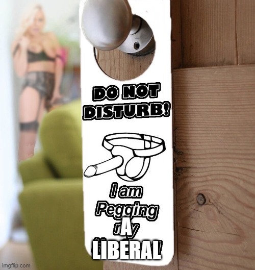 pegging - do not disturb | A
LIBERAL | image tagged in pegging - do not disturb | made w/ Imgflip meme maker