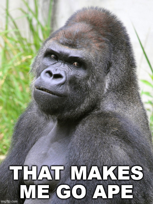 Hot Gorilla  | THAT MAKES ME GO APE | image tagged in hot gorilla | made w/ Imgflip meme maker